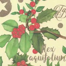 Holly Berries and Leaves Christmas Paper ~ Kartos Italy